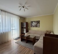 Wohnzimmer in einer 3-Zimmer-Wohnung mit einem Sofa und einem Boden in Holzoptik.