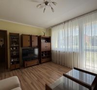 Wohnzimmer in einer 3-Zimmer-Wohnung mit Holzboden und großen Fenstern.
