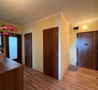 Der Flur in einer 3-Zimmer-Wohnung mit Türen und einem Boden in Holzdekor.