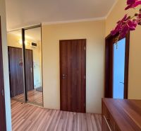 Der Flur in der 3-Zimmer-Wohnung mit einem Boden in Holzoptik und einem Einbauschrank.