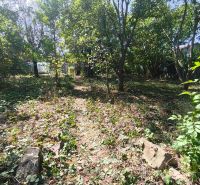 Das Grün in den Gärten von Lučenec mit einem Waldweg und hohen Bäumen.