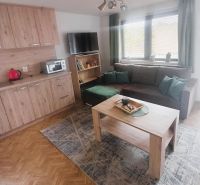 Wohnzimmer in der Hütte mit Holzboden, Sitzgarnitur und Tisch.