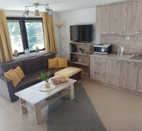 Wohnzimmer in einer Hütte mit Sofa, Küchenzeile und Holzboden.