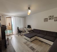 Wohnzimmer in einer 3-Zimmer-Wohnung mit Holzboden, Arbeitsbereich und Sofa.