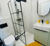 Badezimmer in einer 2-Zimmer-Wohnung mit Duschkabine, Hänge-WC und orangem Teppich.