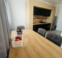 Küche in einer 2-Zimmer-Wohnung mit Esstisch und Boden in Holzoptik.