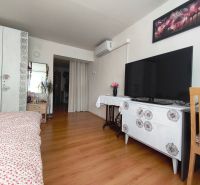 Schlafzimmer mit Holzboden, Fernseher, Schrank und Blumendekoration.