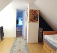 Der Dachbodenflur in einem Einfamilienhaus mit einem Boden in Holzoptik und einem Teppich.