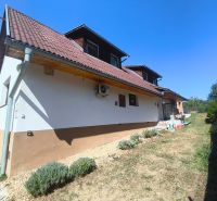 Ein Einfamilienhaus in Divín mit einem braunen Dach und einem Garten, umgeben von Rasen und Sträuchern.