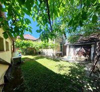 Der Garten des Einfamilienhauses in der Sládkovičova 135 in Zlaté Moravce mit Rasen und Bäumen.