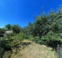 Garten bei einem Einfamilienhaus in der Sládkovičova-Straße 135, Zlaté Moravce, mit Obstbäumen.