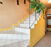 Innenraum eines Einfamilienhauses mit gefliesten Treppen, einer Pflanze und Holztüren.
