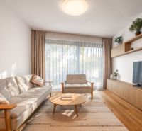 Wohnzimmer in einer 2-Zimmer-Wohnung, helle Möbel, ästhetischer Teppich, Boden mit Holzdekor.