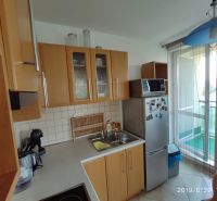 Küche mit Holzschränken, Mikrowelle und Kühlschrank in einer 2-Zimmer-Wohnung.