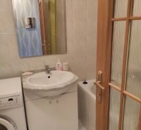 Badezimmer mit Waschbecken, Spiegel, Waschmaschine und Badewanne in einer 2-Zimmer-Wohnung.