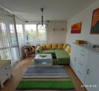 Wohnzimmer in einer 2-Zimmer-Wohnung mit Ecksofa und Holzboden.