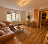 Wohnzimmer einer 3-Zimmer-Wohnung mit Holzboden, Ledersofa und Kamin.