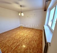Ein Zimmer in einem Einfamilienhaus mit einem Boden in Holzoptik und einem großen Fenster.