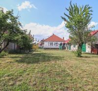 Grundstück bei einem Einfamilienhaus in Borský Mikuláš mit Rasen und Obstbäumen.