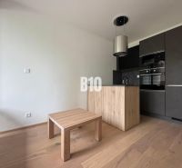 Küchenecke mit dunklen Schränken und Holzboden in einer 2-Zimmer-Wohnung.