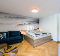 Ferienwohnung mit Sofa, Bett und Holzboden.