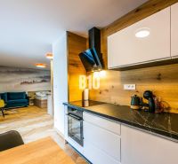 Küche mit Holzelementen, Sofa und Kunstwand in der Ferienwohnung.