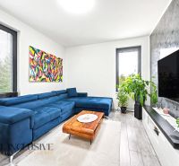 Wohnzimmer mit blauem Sofa und Pflanzen in einer 3-Zimmer-Wohnung, Boden mit Holzdekor.