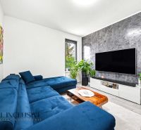 Wohnzimmer in einer 3-Zimmer-Wohnung mit ausziehbarem Sofa, Fernseher und Pflanzen.