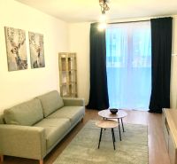 Wohnzimmer in einer 2-Zimmer-Wohnung mit Sofa und Tischen auf einem Boden mit Holzdekor.