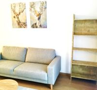 Bequemes Sofa und Regal im Wohnzimmer einer Zweizimmerwohnung mit Bildern von Hirschen.