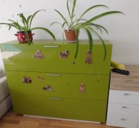 Grüne Kommode mit Blumen und Hundestickern, Boden mit Holzdekor, 2-Zimmer-Wohnung.