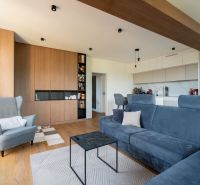 Wohnzimmer einer Zweizimmerwohnung mit Holzboden, blauem Sofa und Sessel.