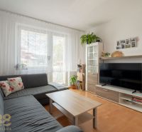 Wohnzimmer in einer 3-Zimmer-Wohnung mit Sofa, Fernseher und Holzboden.