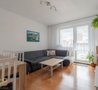 Helles Wohnzimmer in einer 3-Zimmer-Wohnung mit Holzboden und Sofa.