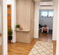 Innenraum eines Einfamilienhauses mit Holzboden, Teppich und Pflanzen dekorieren den Flur.