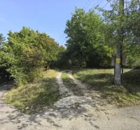 Ein sichtbarer verzweigter Weg in den Gärten von Kolačna, umgeben von Grün und einem Strommast.