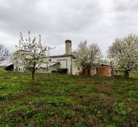 Produktionsräume in Lesenice, umgeben von blühenden Bäumen und grünem Gras.