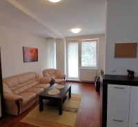 Wohnzimmer in einer 2-Zimmer-Wohnung mit Holzboden und Sofa.