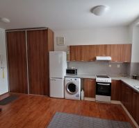 Küche in einer 2-Zimmer-Wohnung, Holzdekor auf dem Boden und der Küchenzeile.