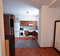 Küche mit Holzboden in einer 2-Zimmer-Wohnung, Geräte, Schränke, Teppich.