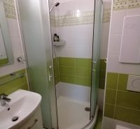 Badezimmer mit Dusche und grünen Fliesen in einer 2-Zimmer-Wohnung.