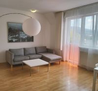 Helles Wohnzimmer in einer Zweizimmerwohnung, Sofa, Tisch, Boden mit Holzdekor.