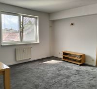 Helles Wohnzimmer mit Teppich und Möbeln in einer 2-Zimmer-Wohnung.