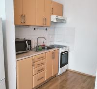 Küche in einer 2-Zimmer-Wohnung mit Holzboden, Mikrowelle und Herd.