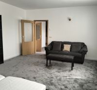 Wohnzimmer in einer Zweizimmerwohnung mit dunklem Teppich, Sofa und Sessel.