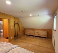 Ein Raum in einer Hütte mit einem Boden in Holzoptik, Holzverkleidung und minimalistischen Möbeln.