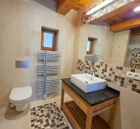 Badezimmer in der Hütte mit Dusche, Waschbecken, Toilette und Mosaikfliesen.