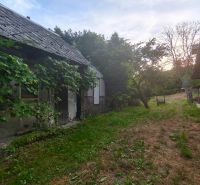 Ein Haus in Čelovce mit Kletterpflanzen und Garten.