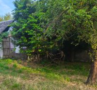 Ein Einfamilienhaus in Čelovce, umgeben von Grün und Bäumen, mit einem älteren Unterstand.