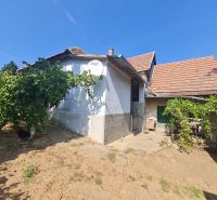 Ein Einfamilienhaus in Dolné Otrokovce mit weißem Putz und Ziegeln, grüne Pflanzen im Garten.
